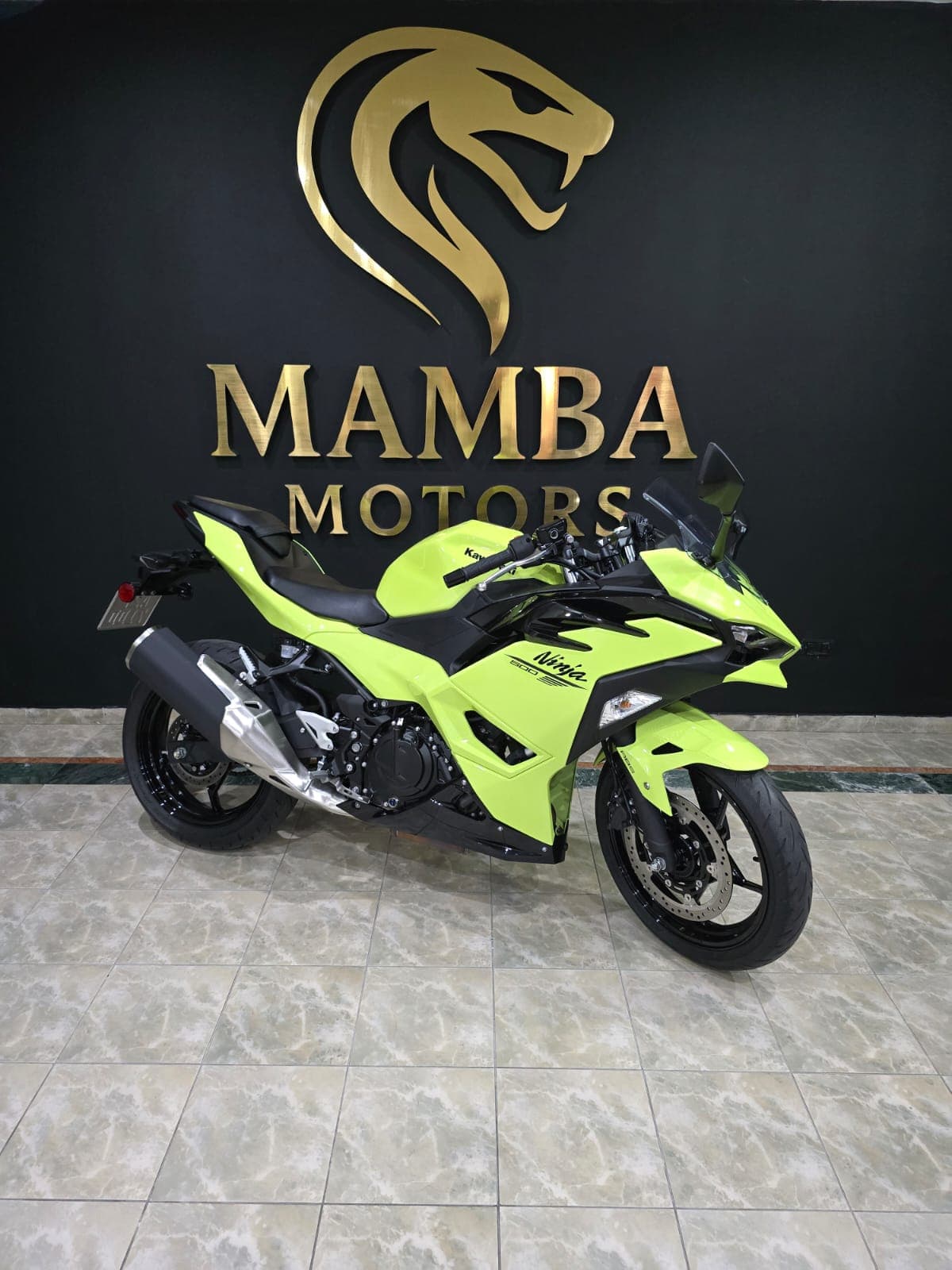Kawasaki Ninja 500