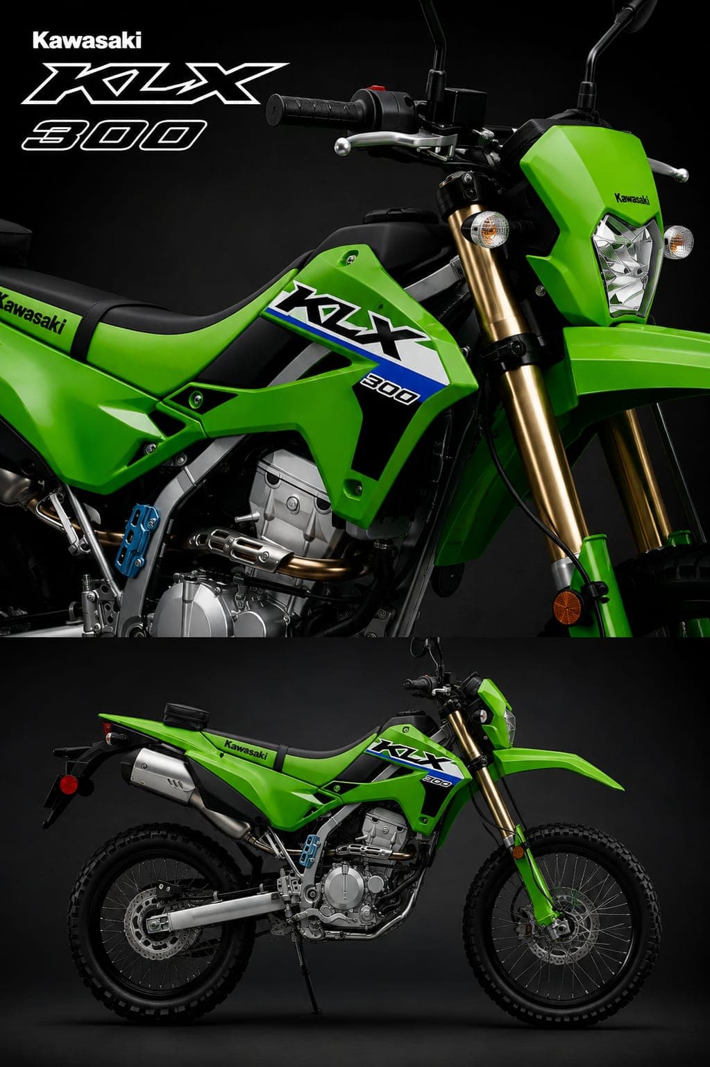 Kawasaki KLX300F color Verde
