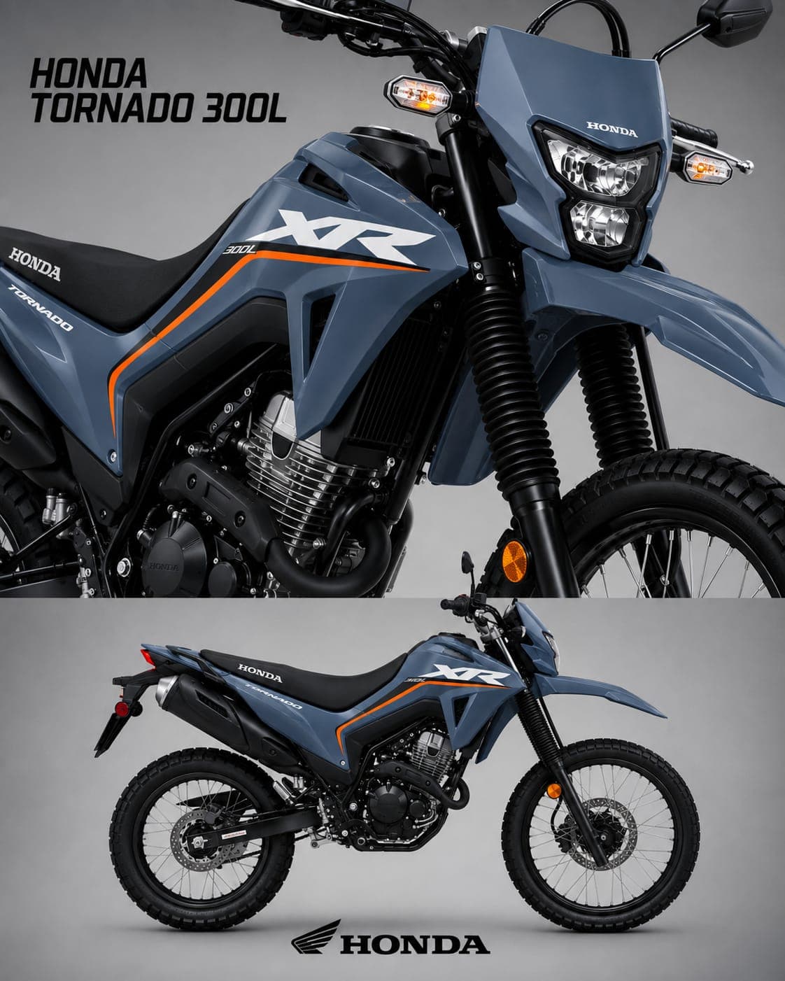 Honda XR 300L TORNADO color Gris
